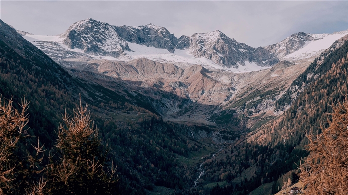 Snow-capped mountains and forested valley