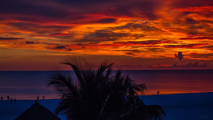 Sunset over the ocean with palm trees and people on the beach