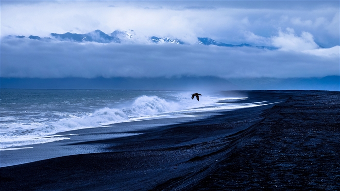 Bird flying over a black sand beach with waves and mountains