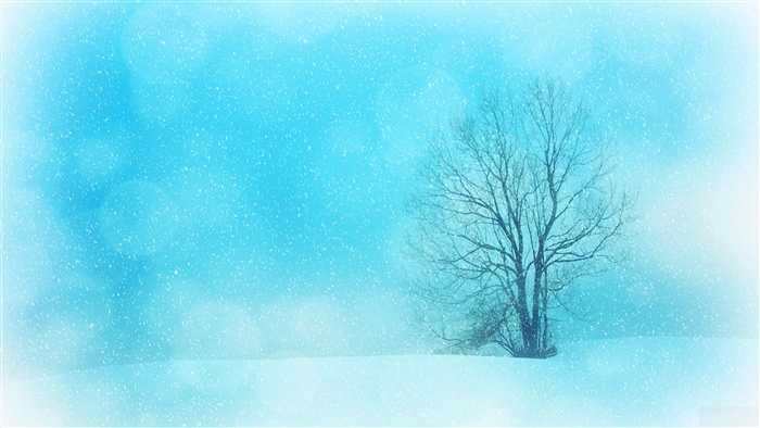 Winter Tree in Snowfall 4K