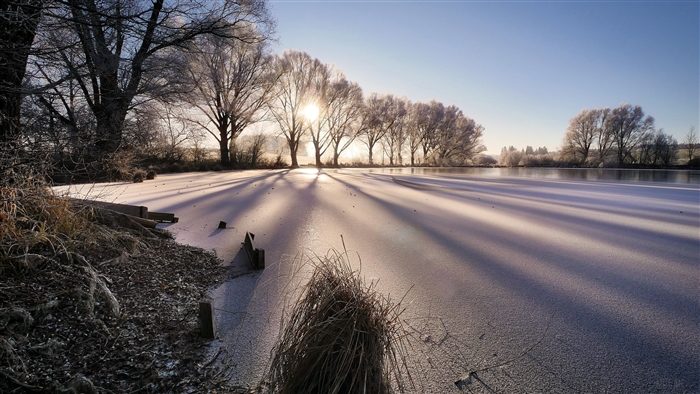 Frozen lake with sunbeams and frosted trees