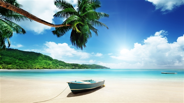 Tropical Beach with Palm Trees and Boat 4K