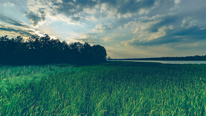 Green grass field with trees and lake under cloudy sky