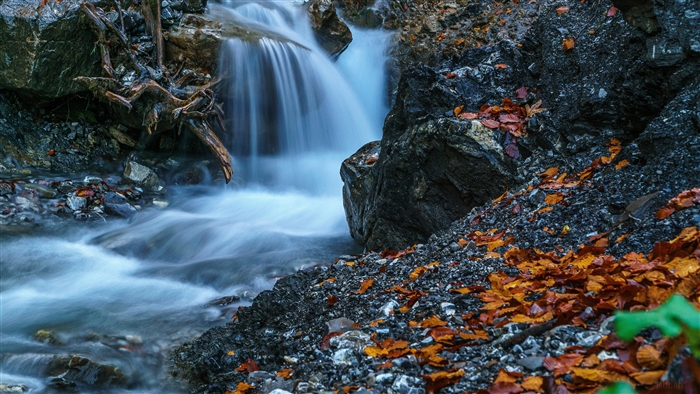 Waterfall in a forest with autumn leaves