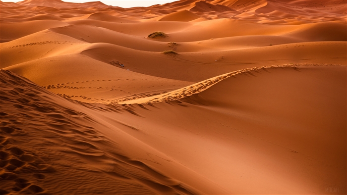 Desert Sand Dunes 4K