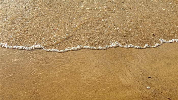 Beach Sea Shore