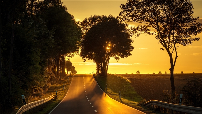 Road at Sunset with Backlight 4K