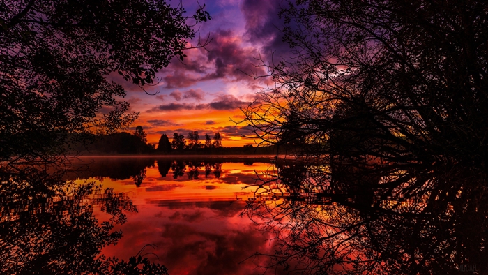 4K Autumn Sunset Over Lake with Silhouetted Trees