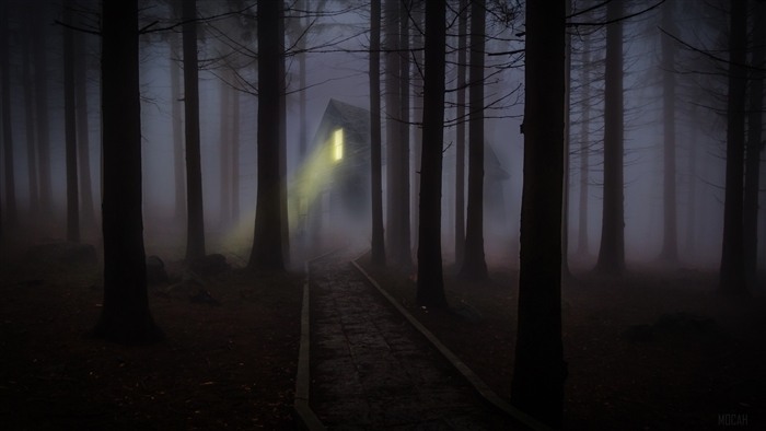 House in a foggy forest with a lit window