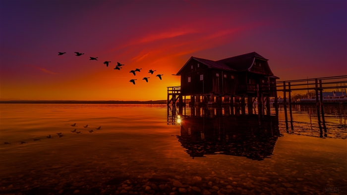 Birds Flying Over Lake House at Sunset 4K