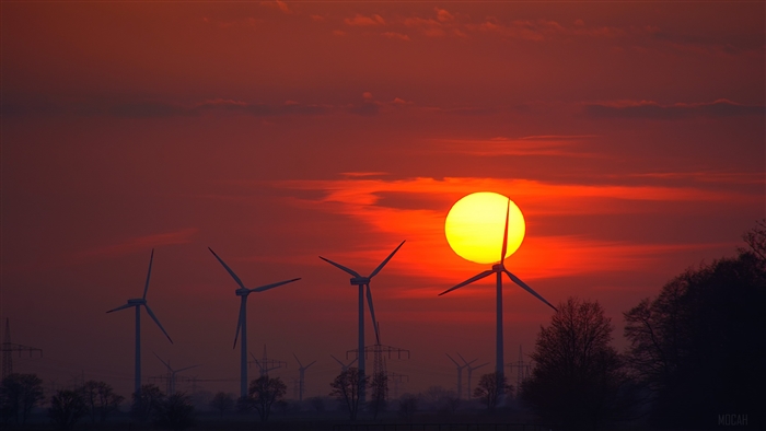 Wind Turbines at Sunset with Sun