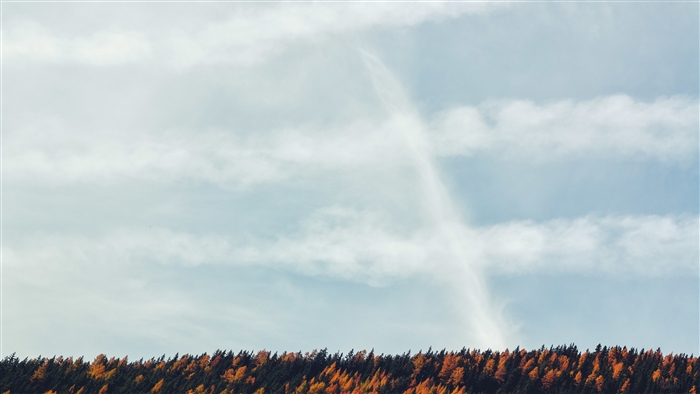Autumn Forest Under a Cloudy Sky with a Rainbow