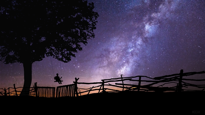 Swing Silhouette Under Starry Night Sky 4K