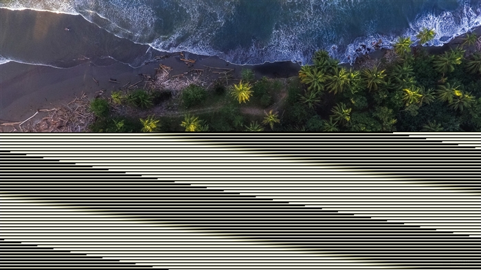 Aerial shot of a tropical coastline with palm trees