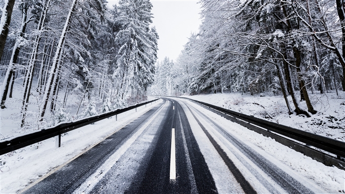 Winter Road Through Snowy Forest 4K