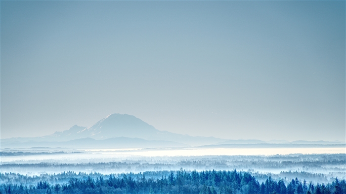 Mountain landscape with fog and forest