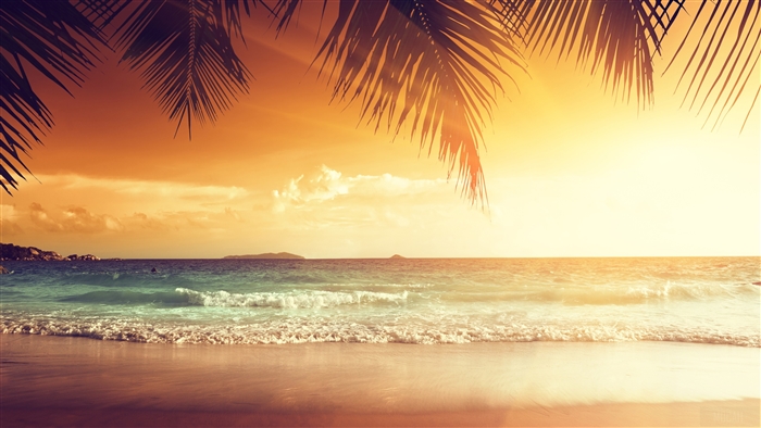Tropical Beach Sunset with Palm Trees