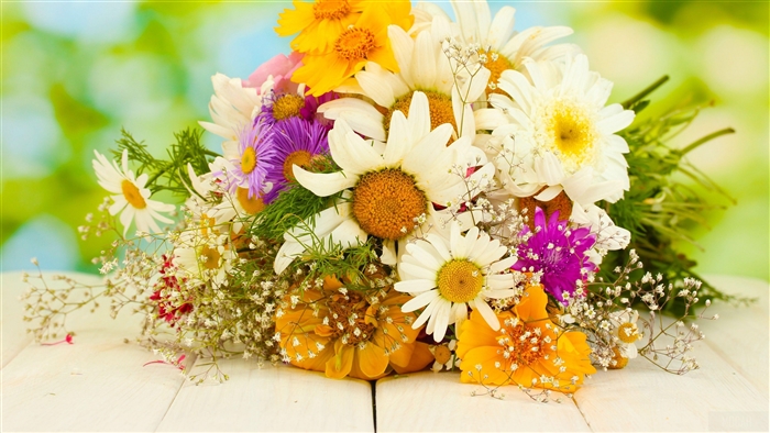 Bouquet of Daisies, Asters, and Gypsophila