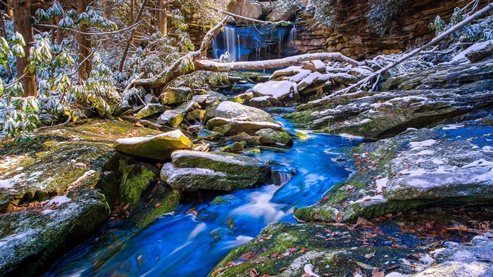 Waterfall in a Snowy Forest