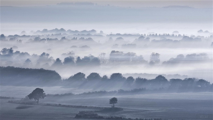 Foggy landscape with trees and rolling hills