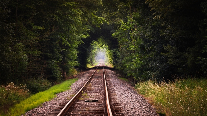 Train tracks through a green forest tunnel