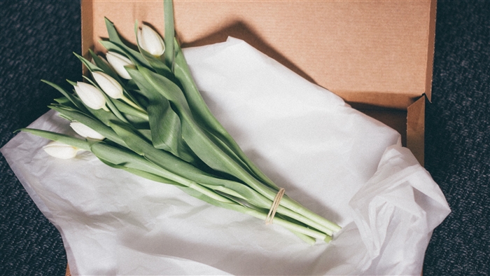 White tulips in a cardboard box with tissue paper