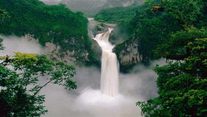 Green Forest Waterfall