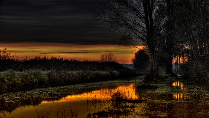 Sunset over a canal with trees and reeds
