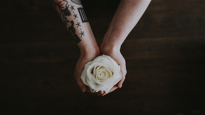 Hands holding a white rose with tattoos