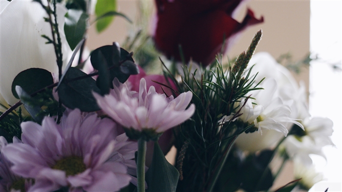 Bouquet of flowers composition 4K