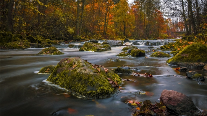 Colors Of Autumn