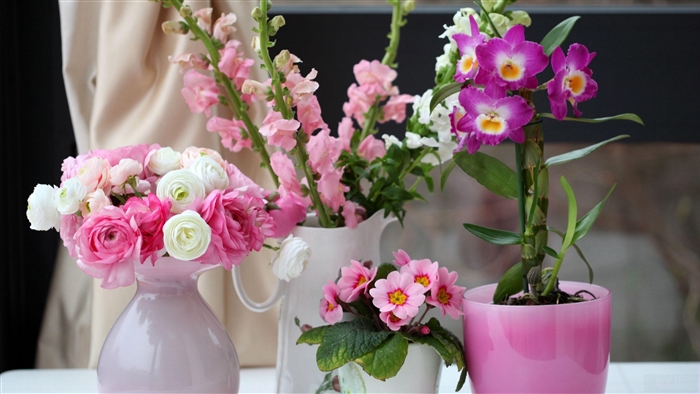 Pink and white flowers in vases and pot