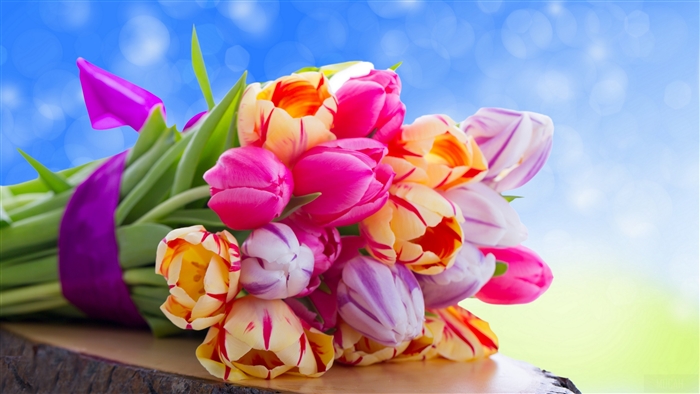 Bouquet of colorful tulips with purple ribbon 4K