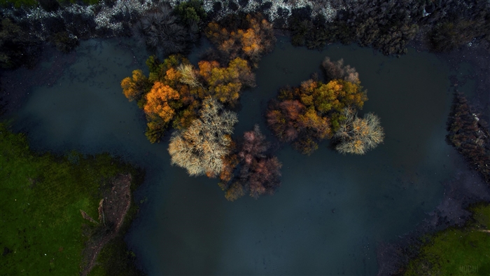Top view of trees in water during winter morning 4K