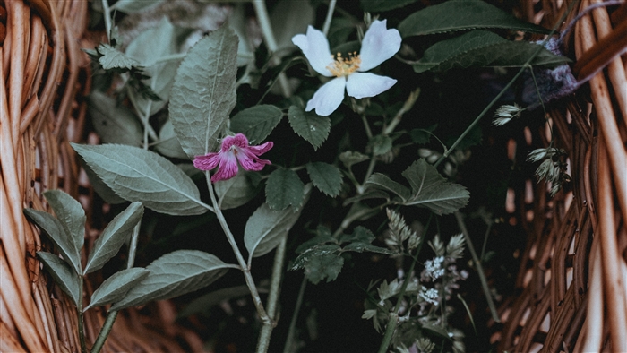 Flowers and leaves in a basket 4K