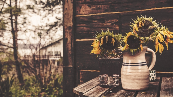 Sunflowers in a vase on a wooden table
