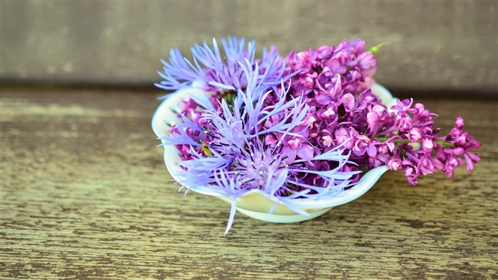 Lilac and Cornflower Flowers in a Bowl 4K