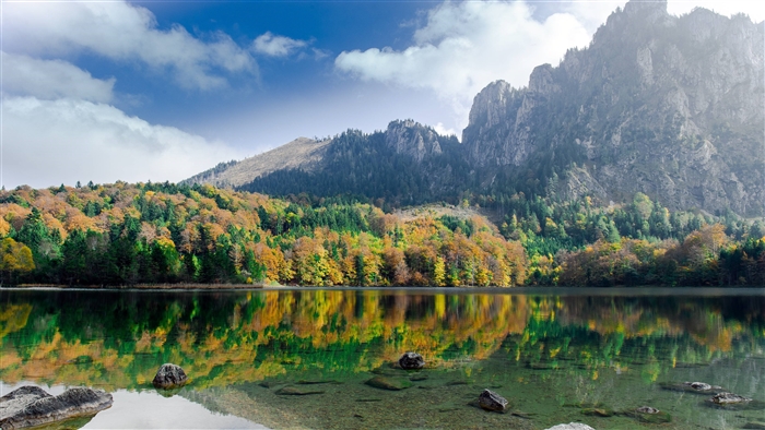 Autumn forest reflected in a mountain lake