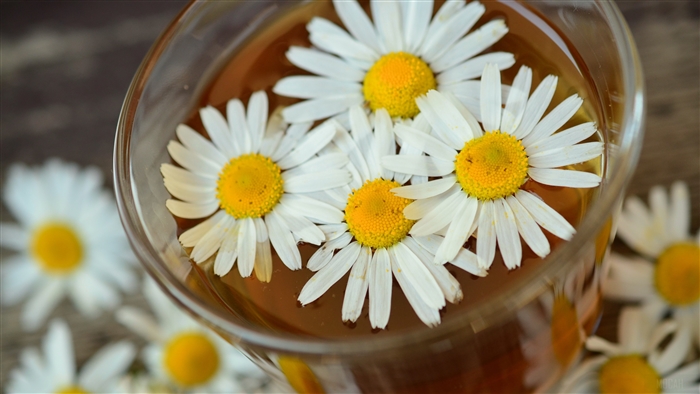Chamomile tea with daisies