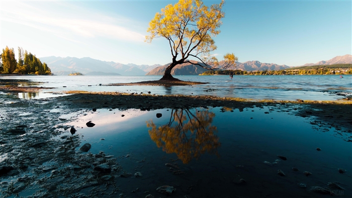Autumn Tree Reflection in Lake