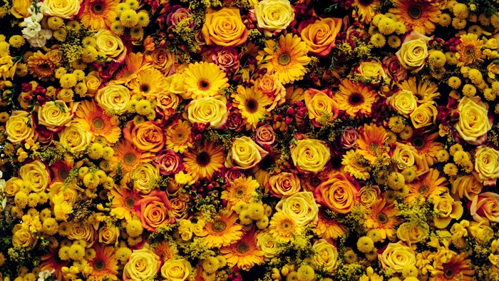 Floral carpet of yellow and orange flowers