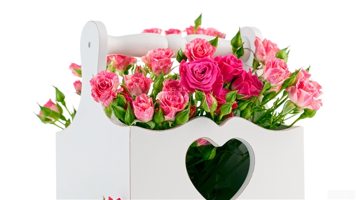 Pink roses in a white heart-shaped basket