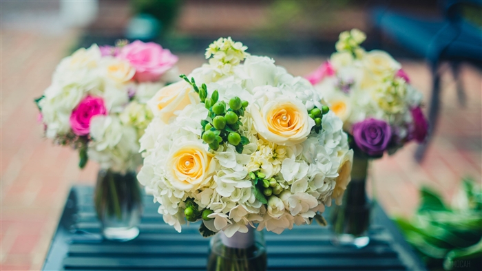 Elegant Bouquet of Roses and Hydrangeas 4K