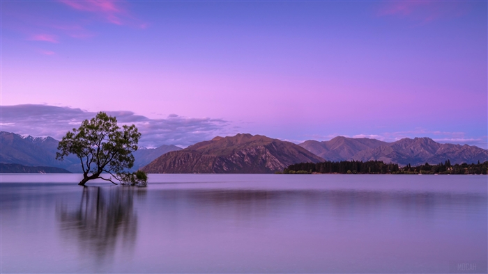 The Wanaka Tree with Purple Sky and Mountains 4K