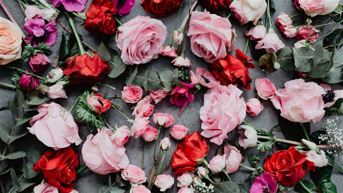 Red and Pink Roses Floral Composition 4K