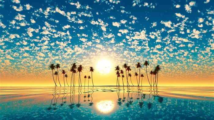 Palm Trees Reflection Sunset
