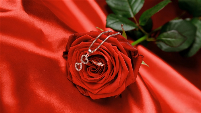 Red rose with diamond heart necklace and ring