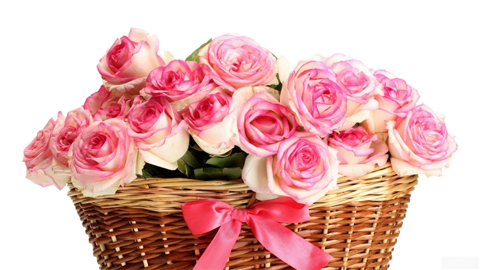 Pink Roses in a Basket with Bow 4K