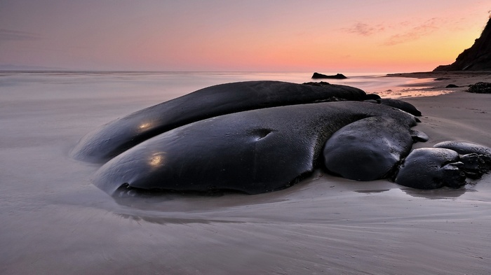 Dark rocks on a beach at sunset