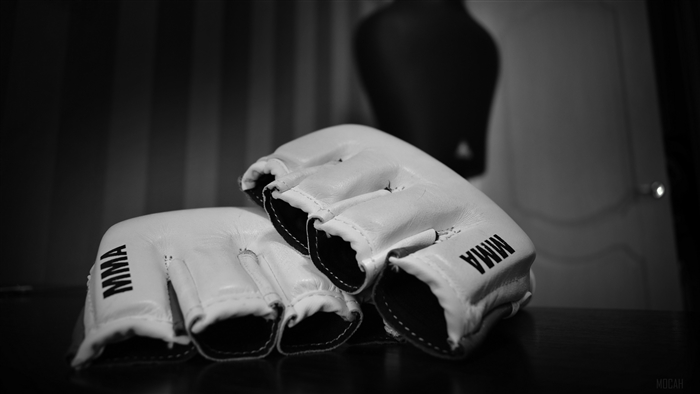 White MMA gloves with MMA logo